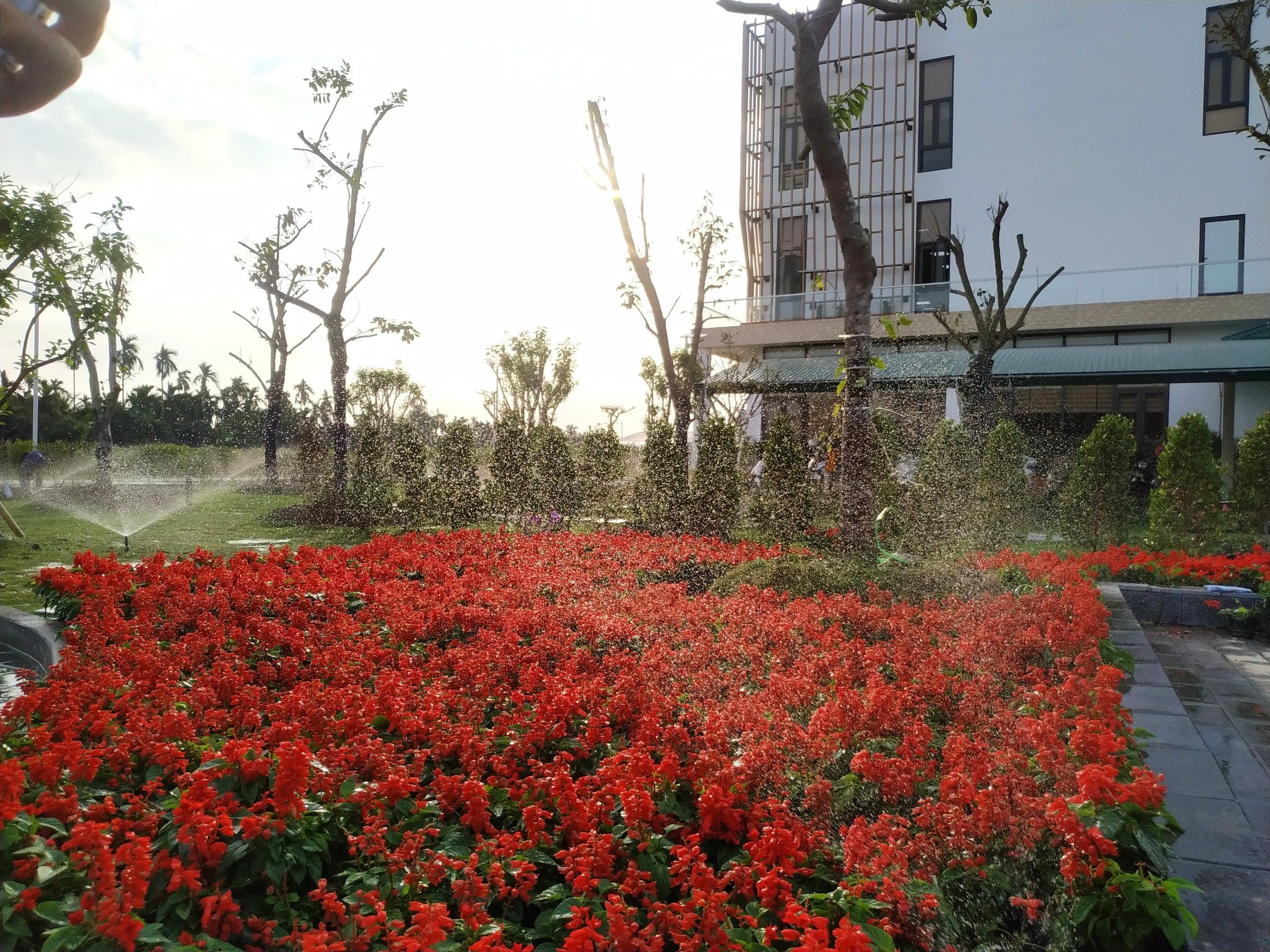 lắp đặt hệ thống tưới cảnh quan nextfarm