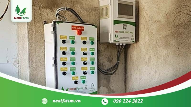 Nextfarm triển khai IoT cho Đà Lạt organic farm trồng nấm