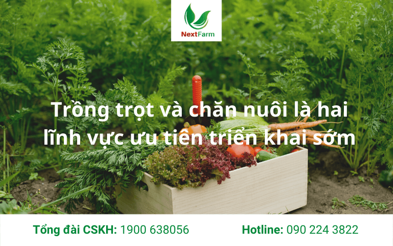 chuyển đổi số là gì Archives - Nextfarm