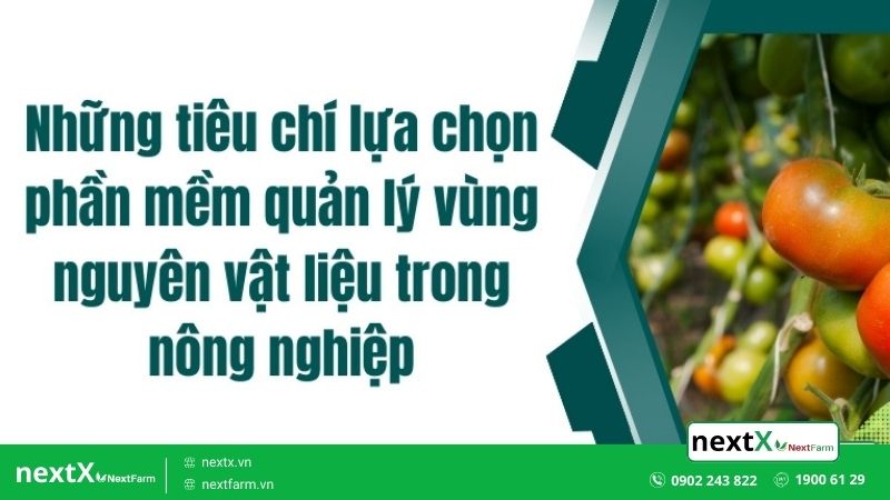 phần mềm 