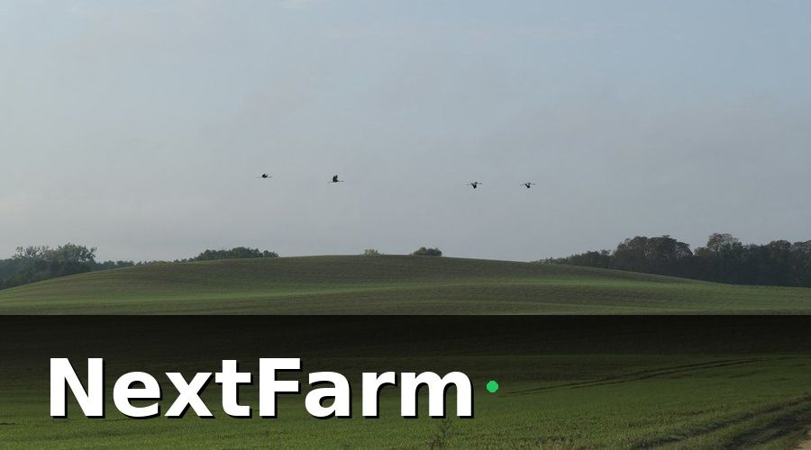 NextFarm — Chuẩn bị trước khi setup