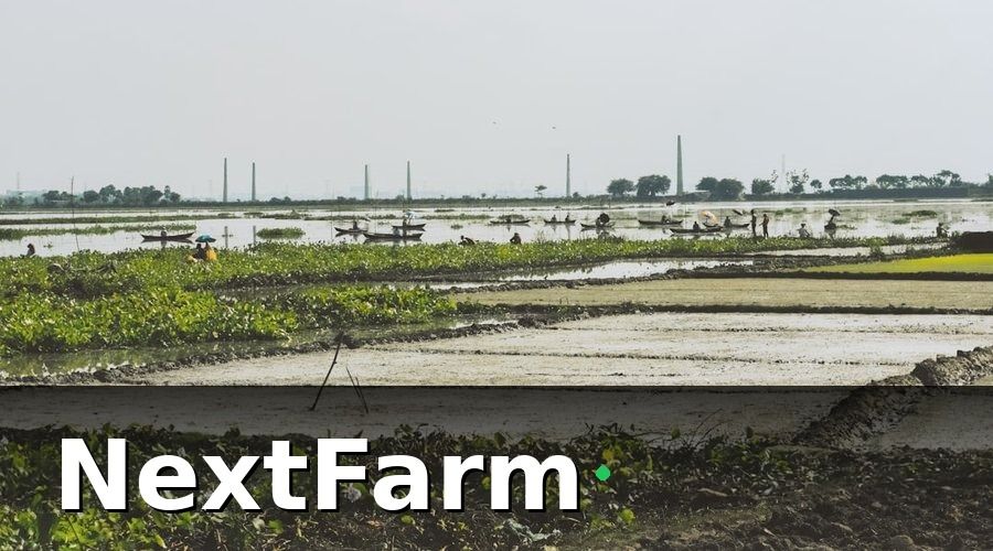 NextFarm — Tại sao ao nuôi công nghiệp cần AI phát hiện bệnh?