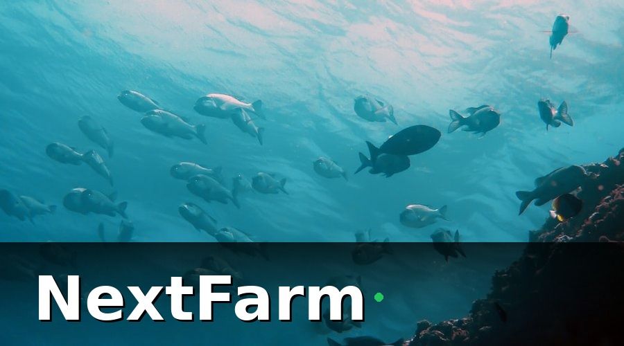 NextFarm — Hệ thống AI phát hiện bệnh ao nuôi gồm những gì?