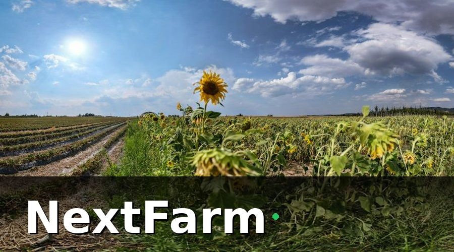NextFarm — Các bước setup AI phát hiện sâu bệnh