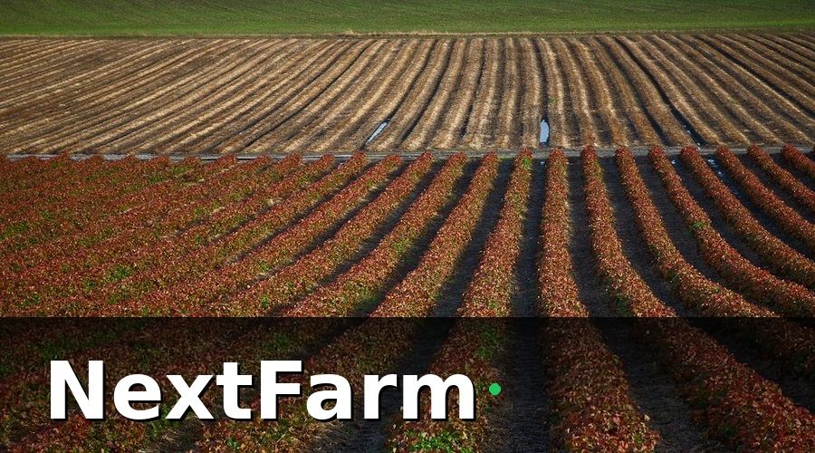NextFarm — Tại sao cần AI phát hiện sâu bệnh trên cảm biến đất?