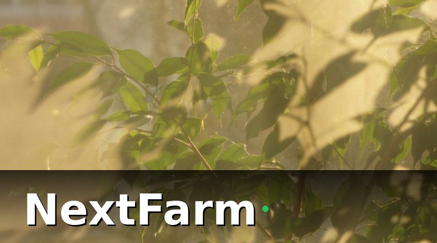 NextFarm — AI Phát Hiện Sâu Bệnh Là Gì và Tại Sao GlobalGAP Cần Nó?
