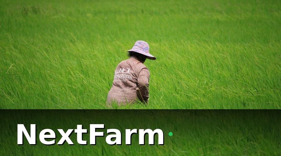 NextFarm — GlobalGAP Yêu Cầu Gì Về Quản Lý Sâu Bệnh?