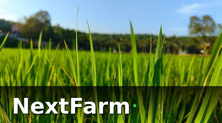 NextFarm — HACCP và bài toán giám sát sâu bệnh tại đồng ruộng