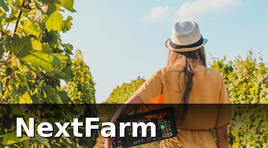 NextFarm — AI phát hiện sâu bệnh hoạt động như thế nào trong bối cảnh HACCP?