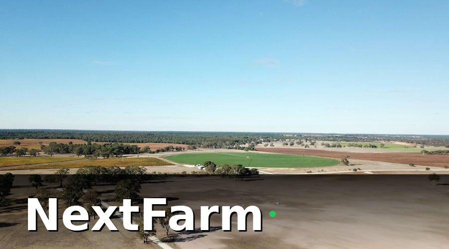 NextFarm — Tại sao cần kết hợp AI phát hiện sâu bệnh với hệ thống tưới tự động?