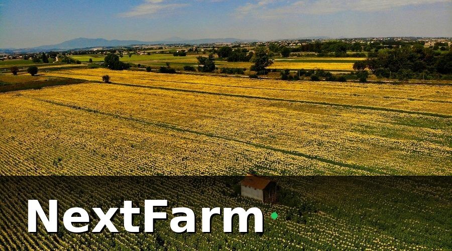 NextFarm — Tại sao HTX cần AI phát hiện sâu bệnh?