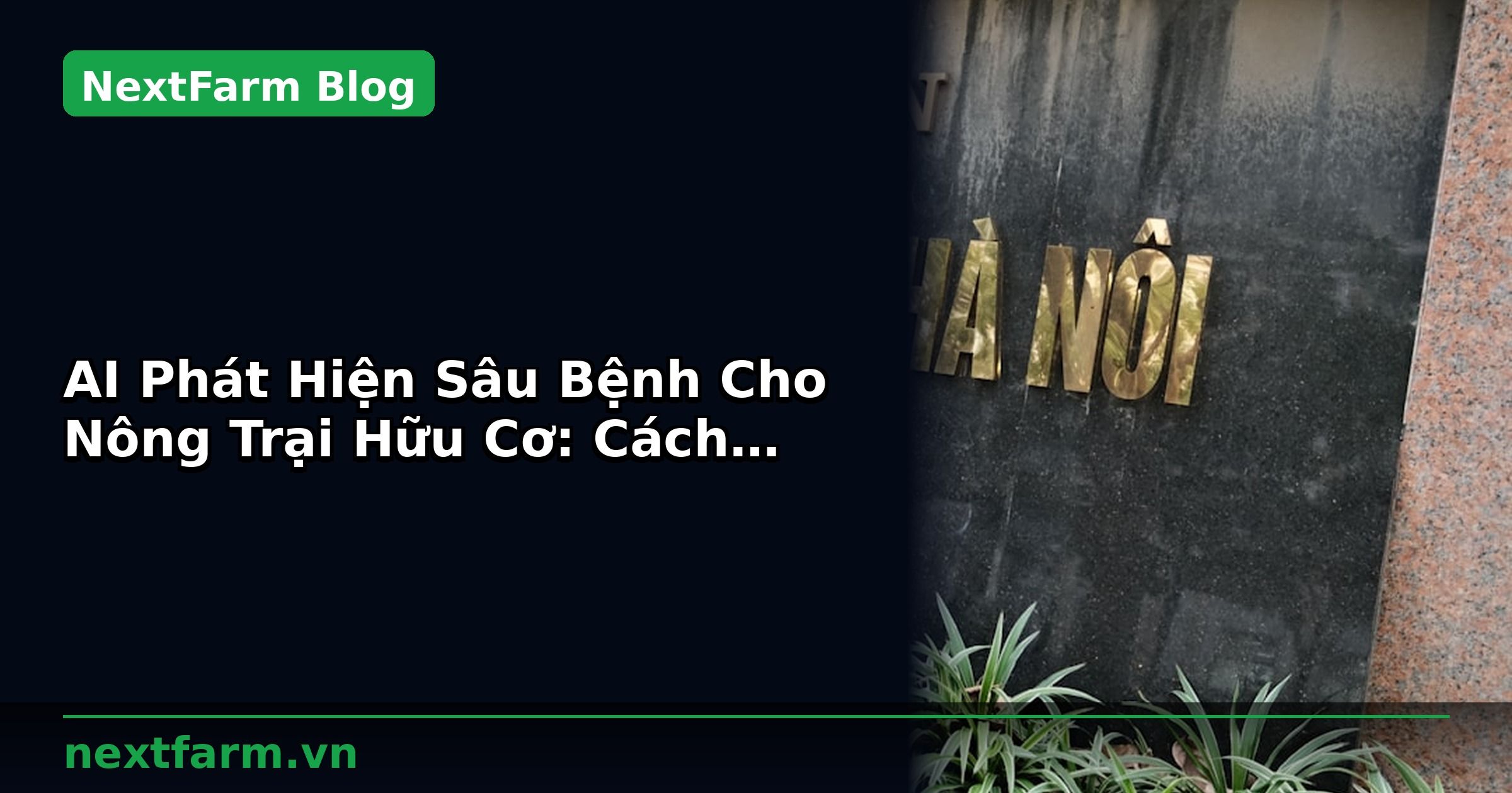 AI Phát Hiện Sâu Bệnh Cho Nông Trại Hữu Cơ: Cách Setup | NextFarm