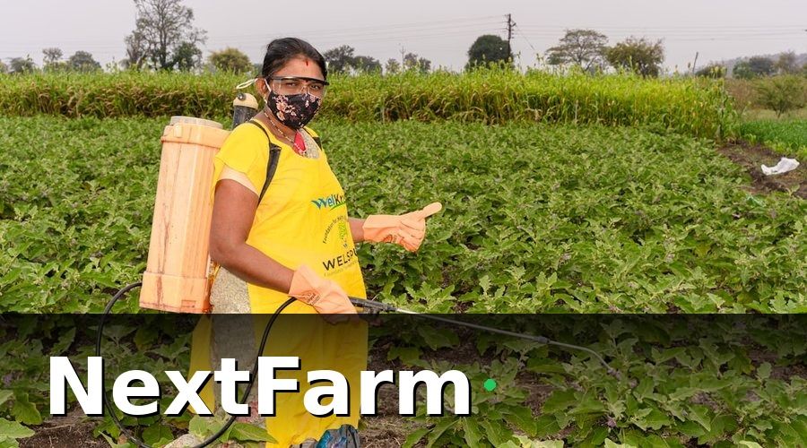 NextFarm — Tại sao nông trại hữu cơ cần AI phát hiện sâu bệnh hơn ai hết