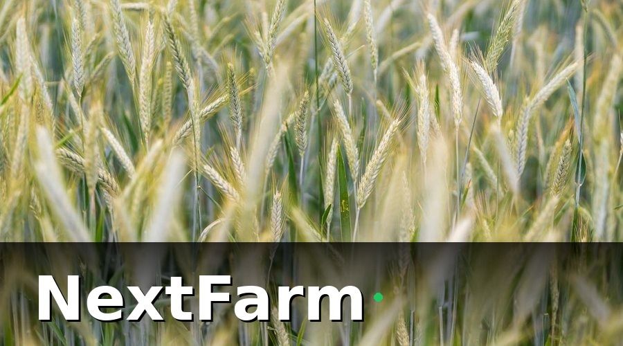 NextFarm — ISO 22000 Yêu Cầu Gì Về Giám Sát Sâu Bệnh?