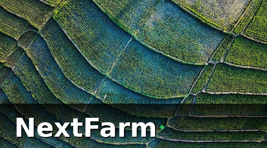 NextFarm — Tại Sao Ruộng Lúa Cần AI Phát Hiện Sâu Bệnh?