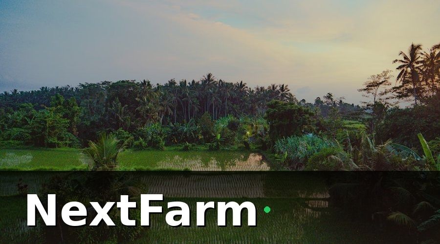 NextFarm — Hướng Dẫn Setup AI Phát Hiện Sâu Bệnh Cho Ruộng Lúa