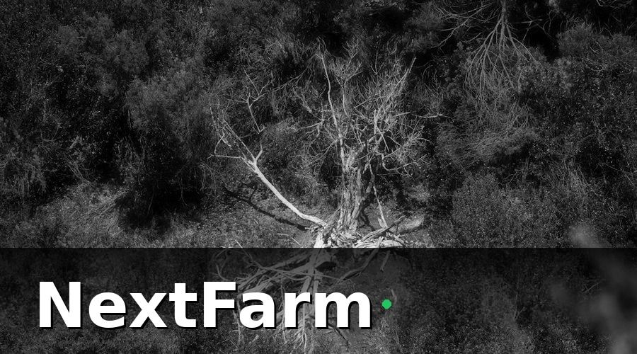 NextFarm — Các bước setup AI phát hiện sâu bệnh