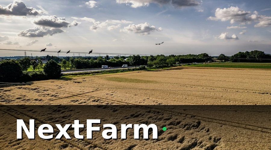 NextFarm — Tại sao trang trại smart farming cần AI phát hiện sâu bệnh