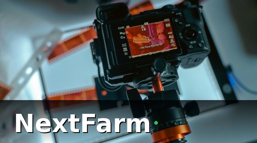 NextFarm — Các bước setup AI phát hiện sâu bệnh