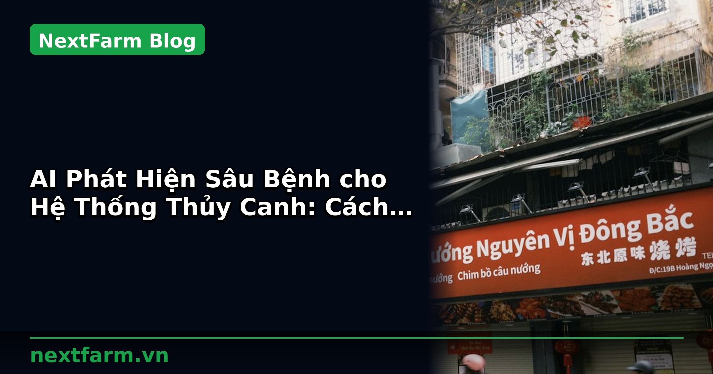 AI Phát Hiện Sâu Bệnh cho Hệ Thống Thủy Canh: Cách Setup | NextFarm
