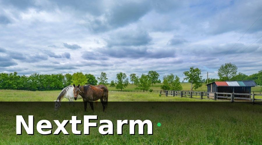 NextFarm — Các thành phần cơ bản của hệ thống AI phát hiện bệnh bò thịt