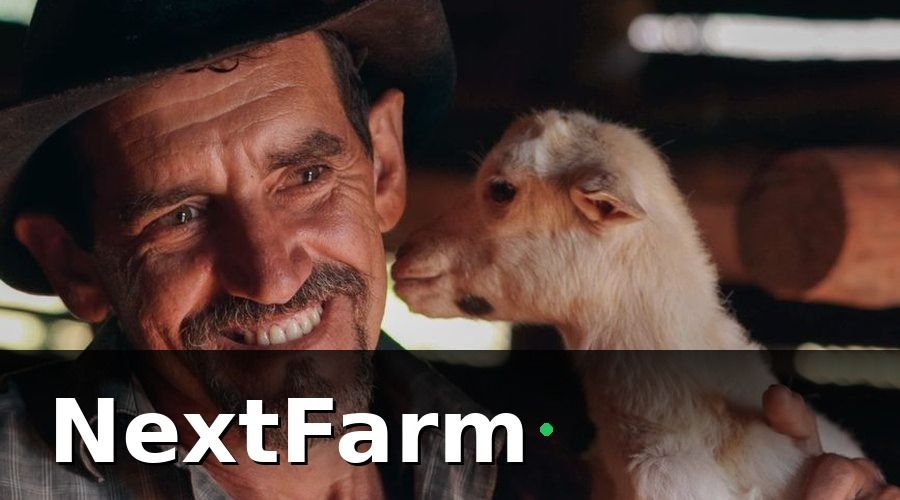 NextFarm — Cách Setup AI Phát Hiện Bệnh Cho Trang Trại Vịt Ngan — Từng Bước