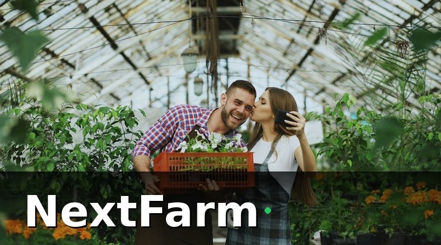 NextFarm — Hướng dẫn setup từng bước