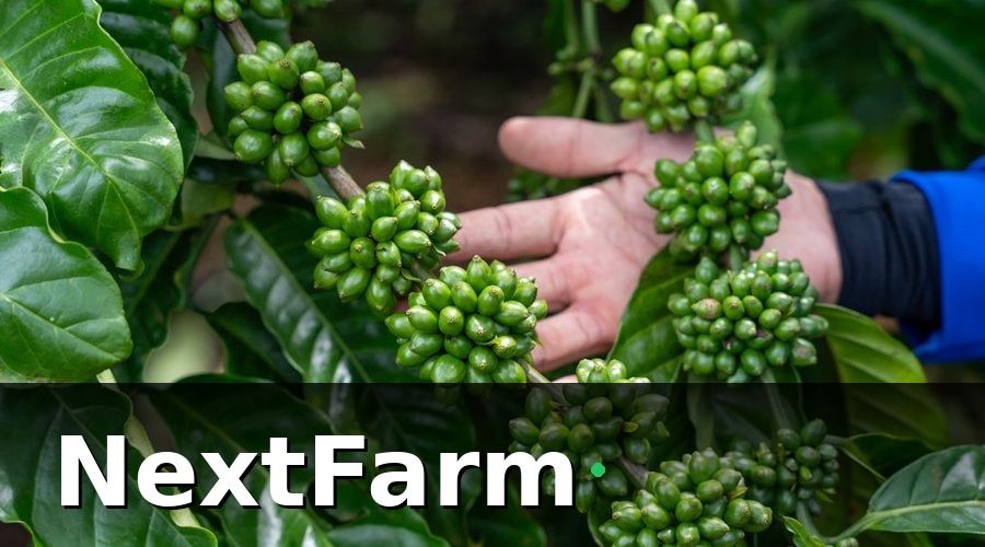 NextFarm — Hướng Dẫn Setup AI Phát Hiện Sâu Bệnh Từng Bước