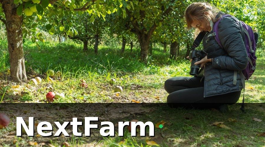 NextFarm — Chuẩn Bị Trước Khi Setup