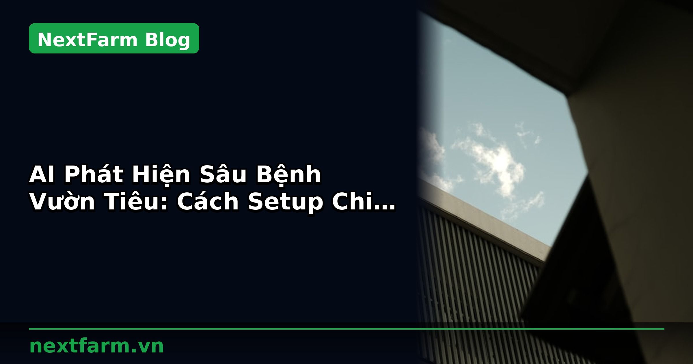 AI Phát Hiện Sâu Bệnh Vườn Tiêu: Cách Setup Chi Tiết | NextFarm