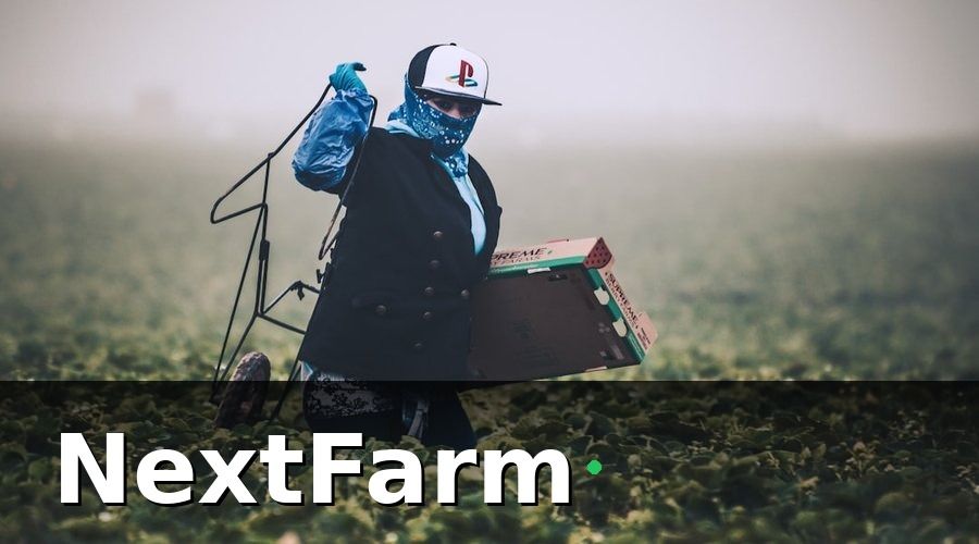NextFarm — Cách Setup AI Phát Hiện Sâu Bệnh Cho Vườn Tiêu — Hướng Dẫn Từng Bước