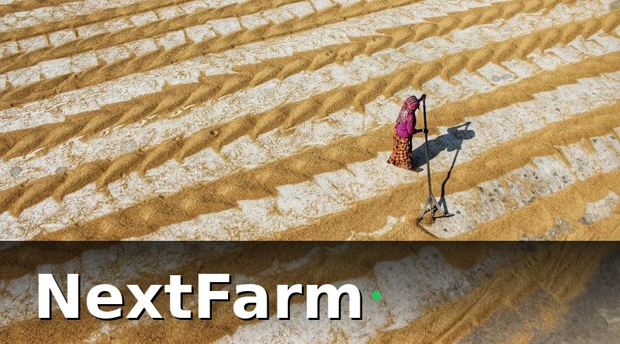 NextFarm — Tại Sao Nên Dùng AI Thay Vì Lập Kế Hoạch Thủ Công?