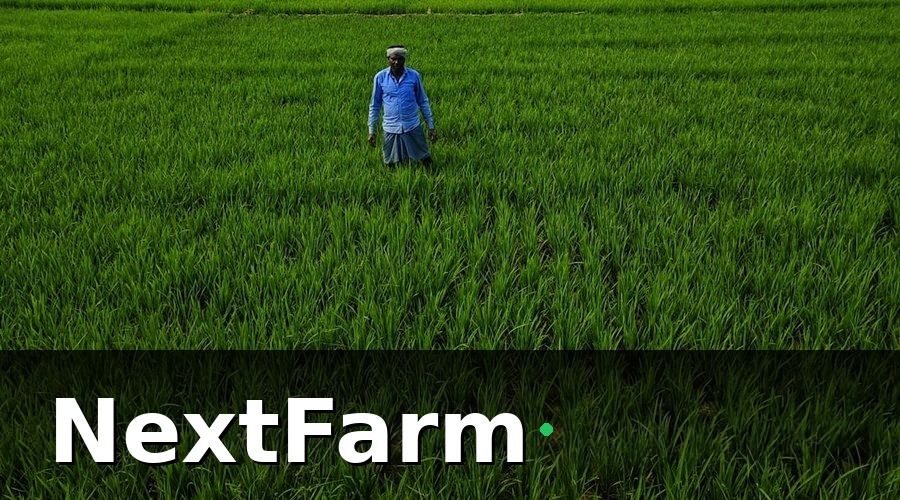 NextFarm — 3 Ứng Dụng AI Thực Tế Nhất Trong Nông Nghiệp Việt Nam