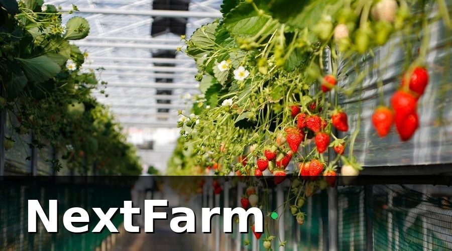 NextFarm — AI Kết Hợp IoT — Khi Dữ Liệu Thực Tế Gặp Trí Thông Minh Nhân Tạo