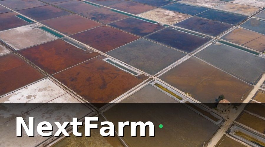 NextFarm — Tại sao cần báo cáo hiệu quả ao nuôi thủy sản?