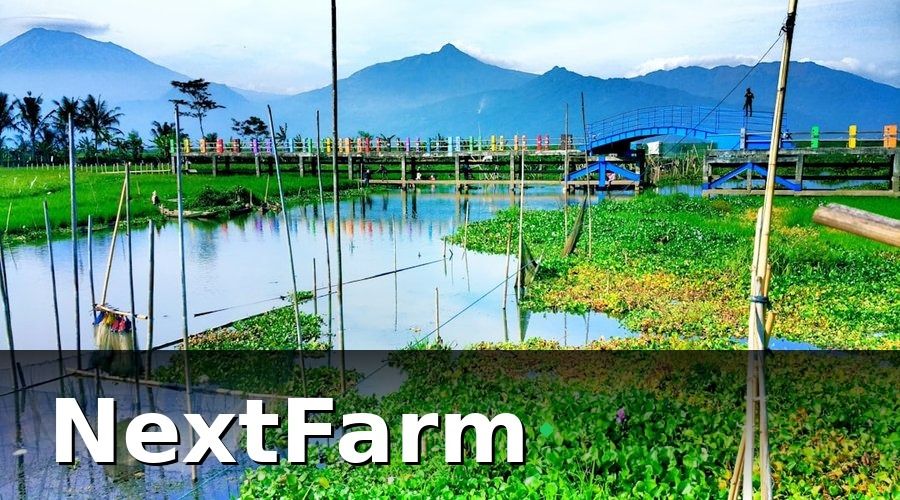 NextFarm — Cấu trúc mẫu báo cáo hiệu quả ao nuôi thủy sản công nghiệp