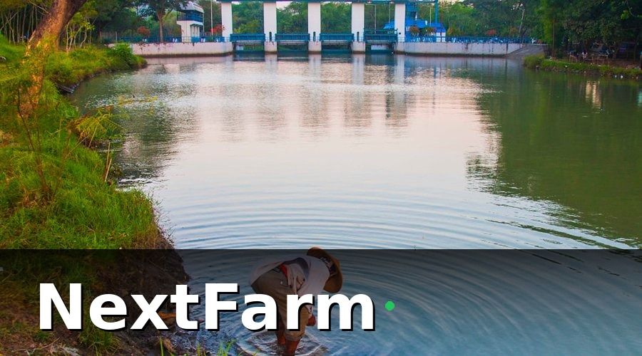 NextFarm — Cách phân tích báo cáo hiệu quả ao nuôi để ra quyết định