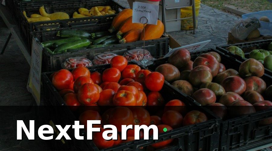 NextFarm — Những chỉ số then chốt cần đưa vào báo cáo