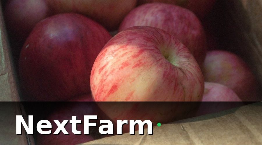 NextFarm — Cách thu thập dữ liệu tự động