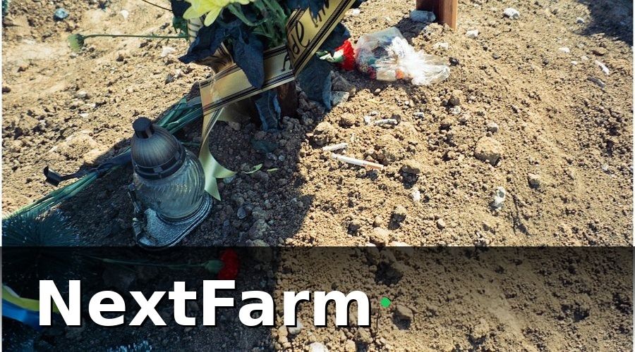 NextFarm — Cảm biến đất cho ra những dữ liệu nào?