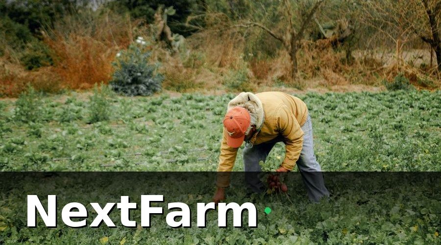 NextFarm — Mẫu báo cáo chuẩn cho trang trại
