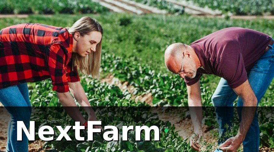 NextFarm — Báo cáo hiệu quả là gì?