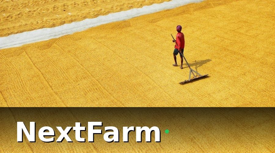 NextFarm — Cấu trúc mẫu báo cáo 6 phần