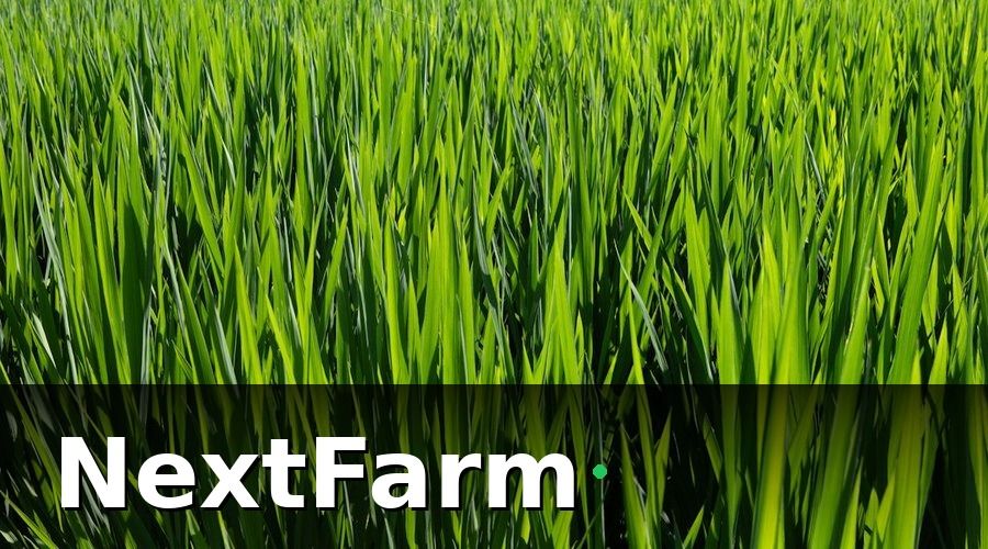 NextFarm — Mẫu báo cáo hiệu quả nông trại GlobalGAP