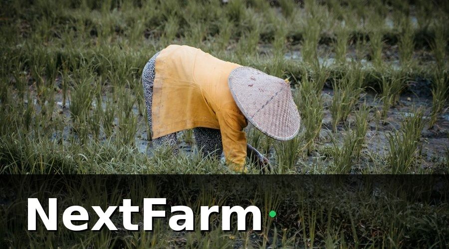 NextFarm — Các chỉ số cốt lõi cần theo dõi