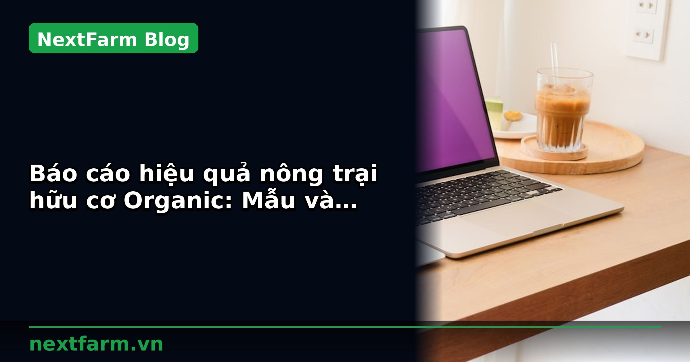 Báo cáo hiệu quả nông trại hữu cơ Organic: Mẫu và cách phân tích | NextFarm