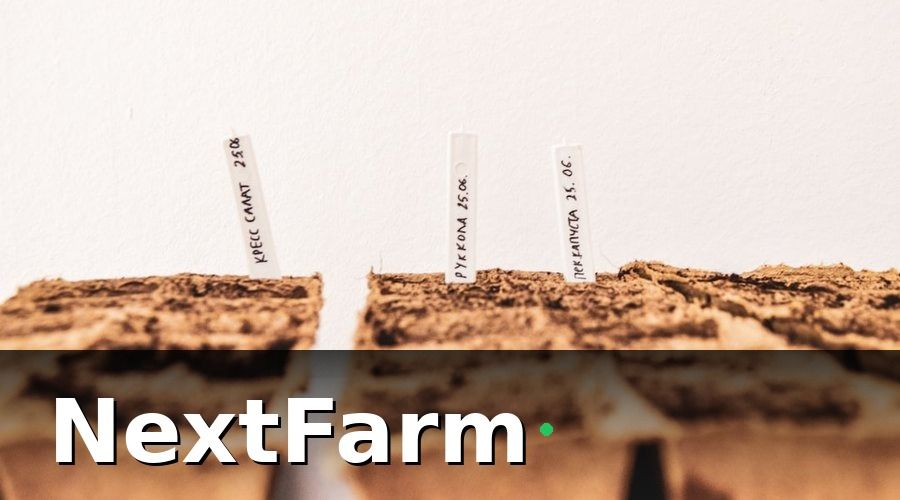 NextFarm — Các chỉ số cốt lõi trong báo cáo hiệu quả hữu cơ