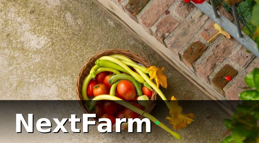 NextFarm — Mẫu báo cáo hiệu quả nông trại hữu cơ theo vụ