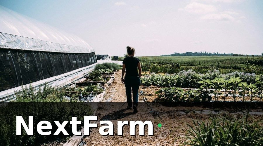 NextFarm — Tại sao cần báo cáo hiệu quả IoT?