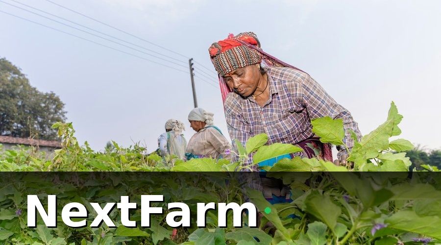NextFarm — Các chỉ số cần theo dõi